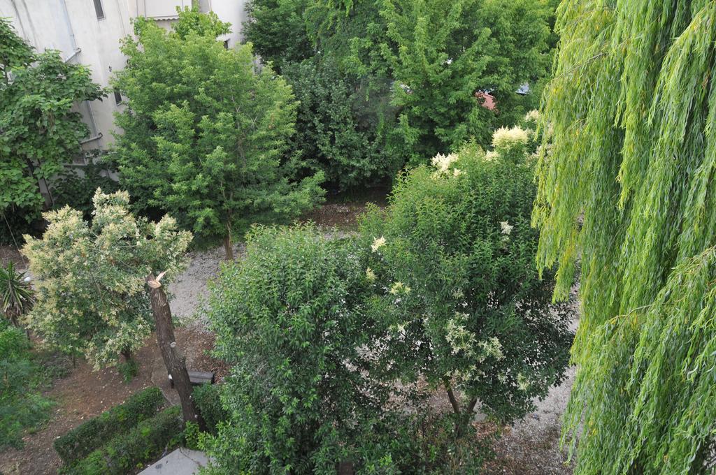Hotel Garden