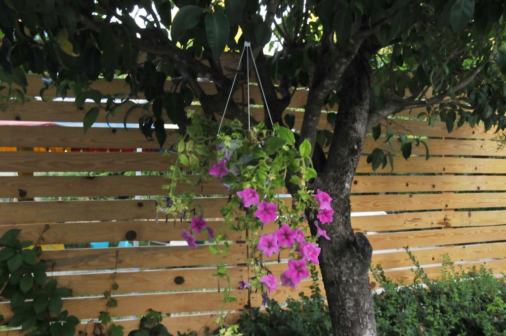 Garden Hotel